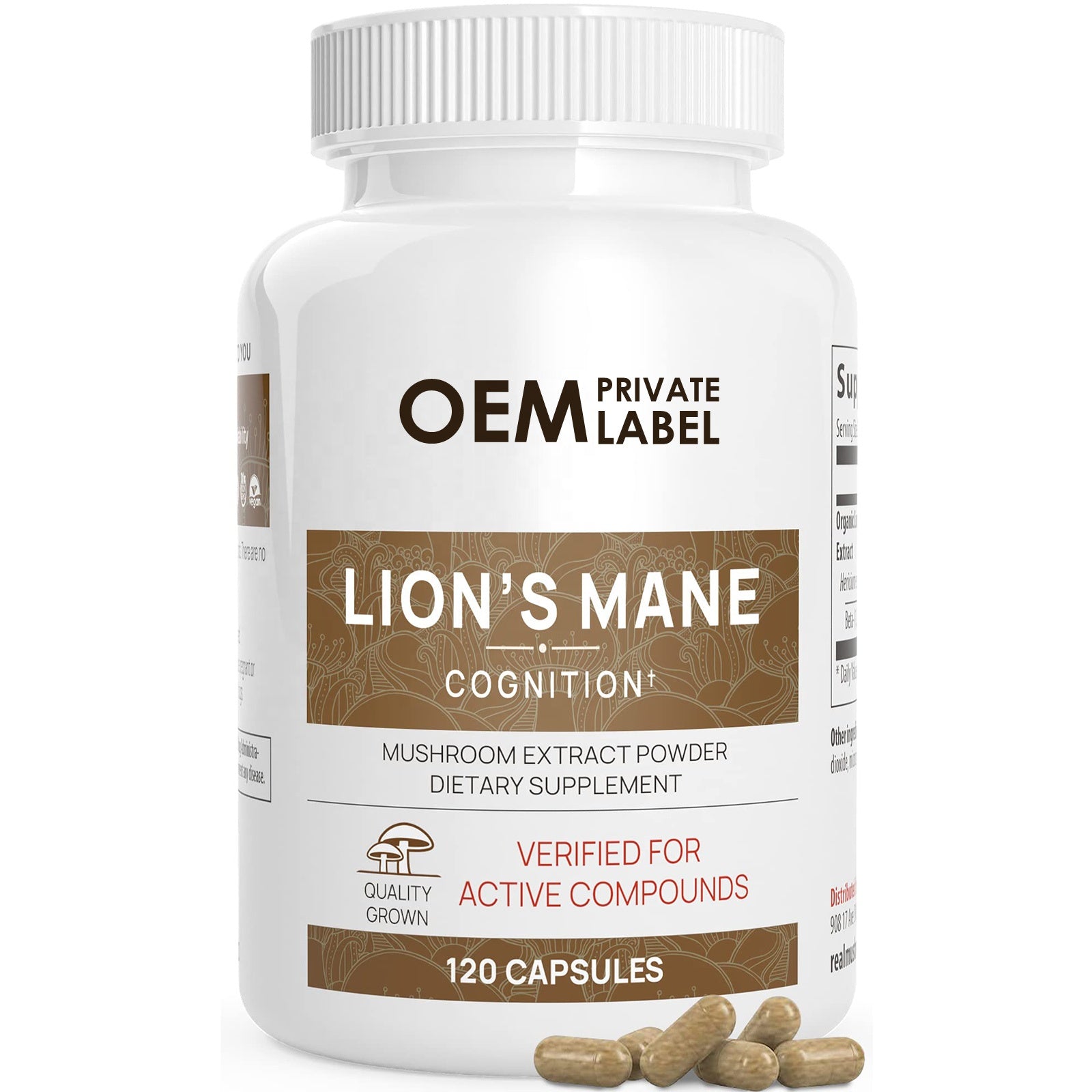 Lions Mane Mushroom Cognition (120ct)